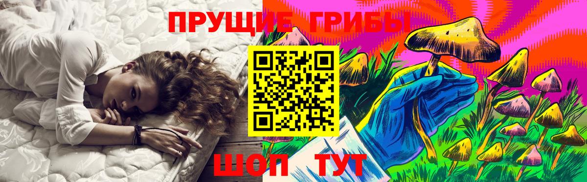Псилоцибиновые грибы прущие грибы Камышлов