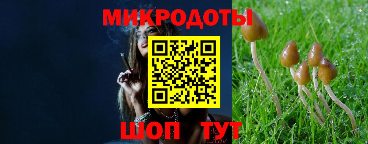 Галлюциногенные грибы Magic Shrooms  Вход с VPN  Камышлов 
